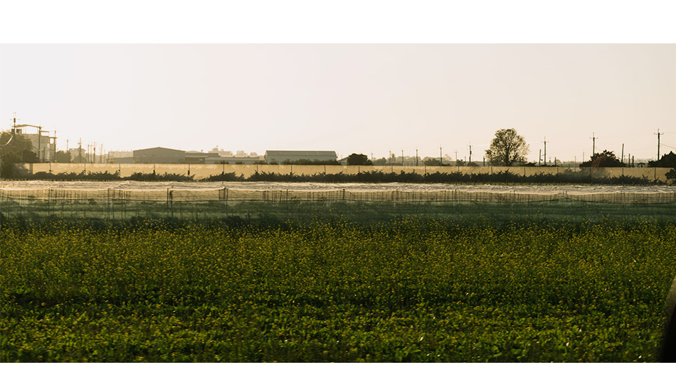 【雲林．旅拍】不藏私！雲林旅拍地點介紹！
